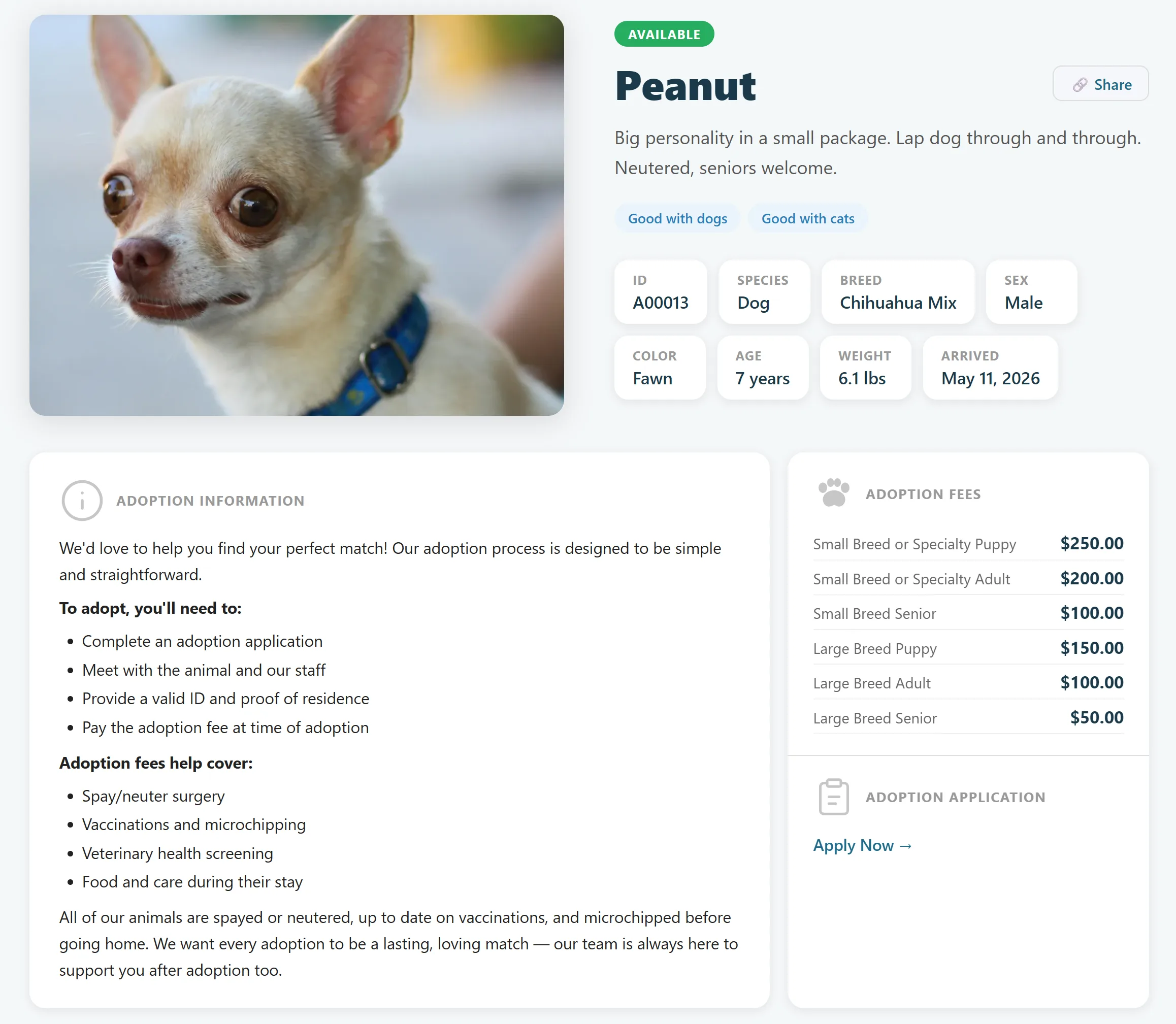 Adoptable pet pages in Furdentify